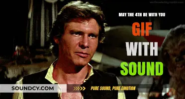 Echoes of the Force: A Hilarious May the 4th GIF with Sound