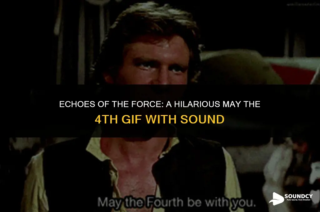 may the 4th be with you gif with sound