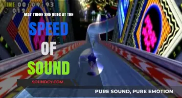 Sonic Journey: Embracing the Speed of Sound