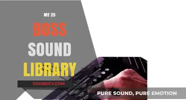 Unleash Your Creativity with the Me 25 Boss Sound Library
