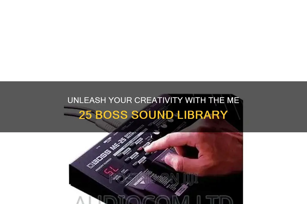 me 25 boss sound library