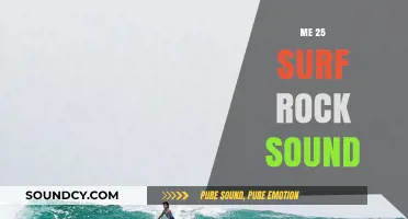 Riding the Waves: Surf Rock's Timeless Sound at 25
