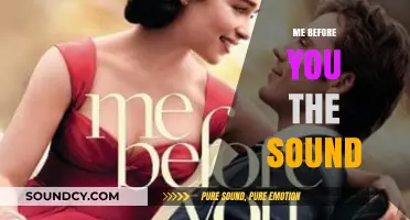 Me Before You: Exploring the Emotional Soundtrack's Impact on the Story