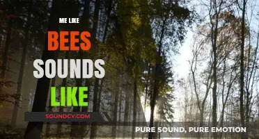 Me Like Bees Sounds Like: Decoding the Buzzing Melodies of Nature