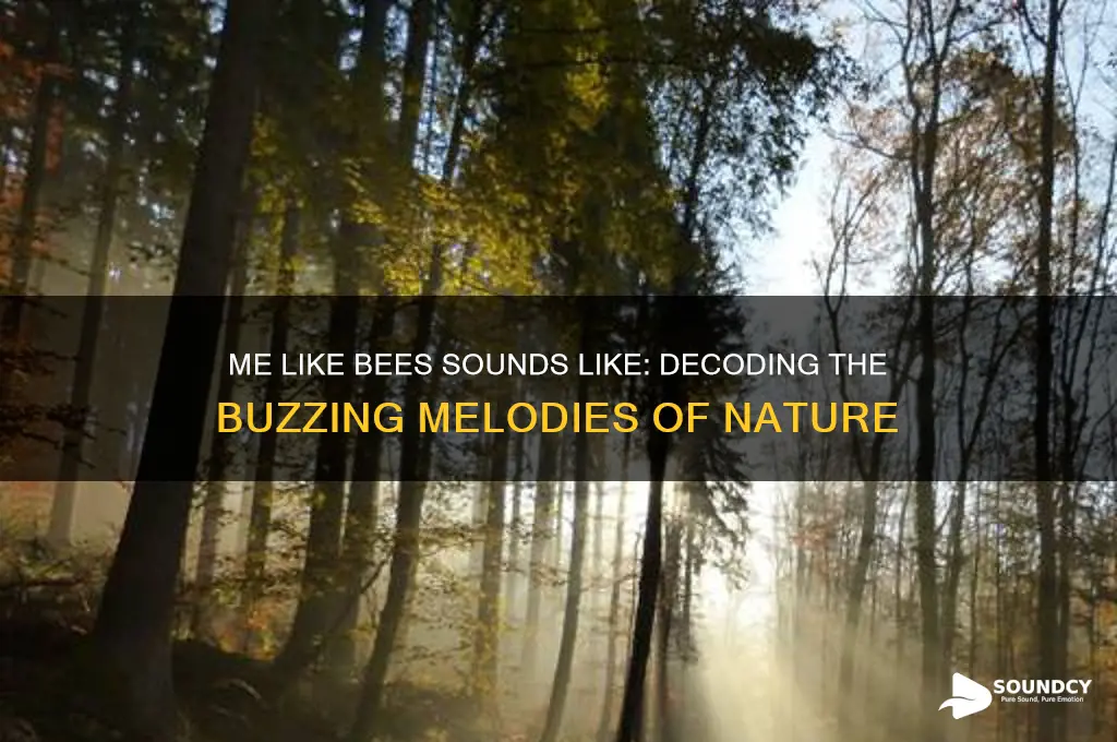 me like bees sounds like