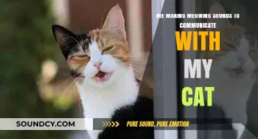 Purr-fect Conversations: Meowing My Way to Feline Friendship