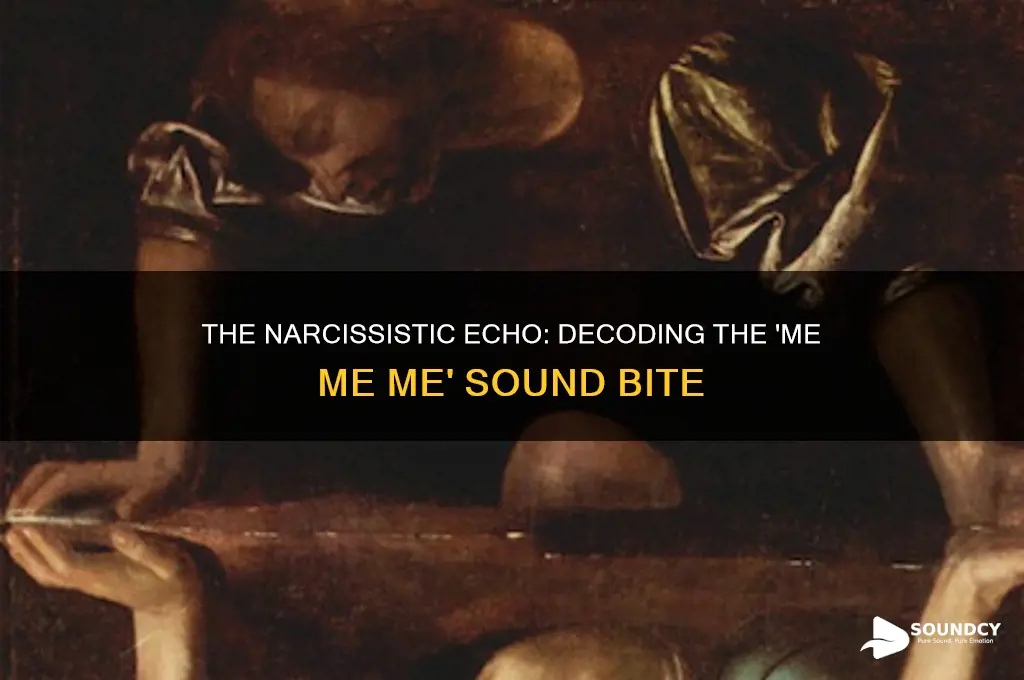 me me me sound bit