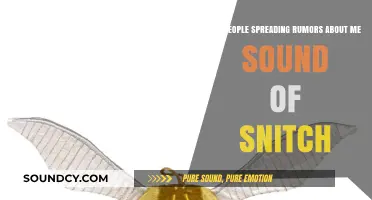 The Sound of Snitch: Navigating Rumors and Gossip