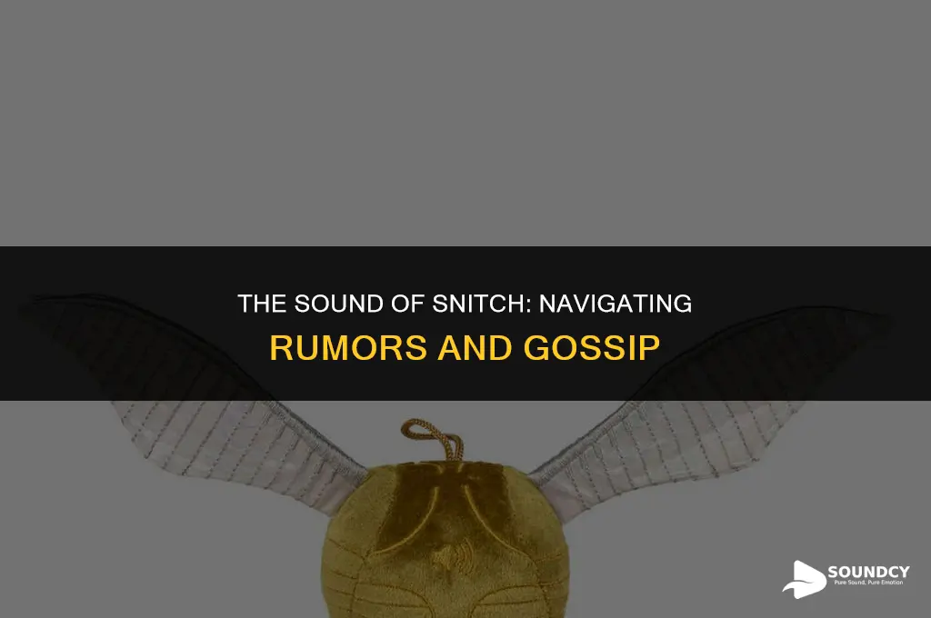 me people spreading rumors about me sound of snitch