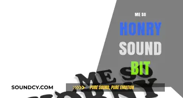 Me So Honry Sound Bit: Origins, Impact, and Pop Culture Legacy