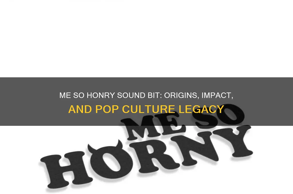 me so honry sound bit