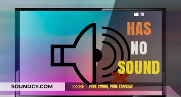 Troubleshooting Me TV: Quick Fixes for No Sound Issues