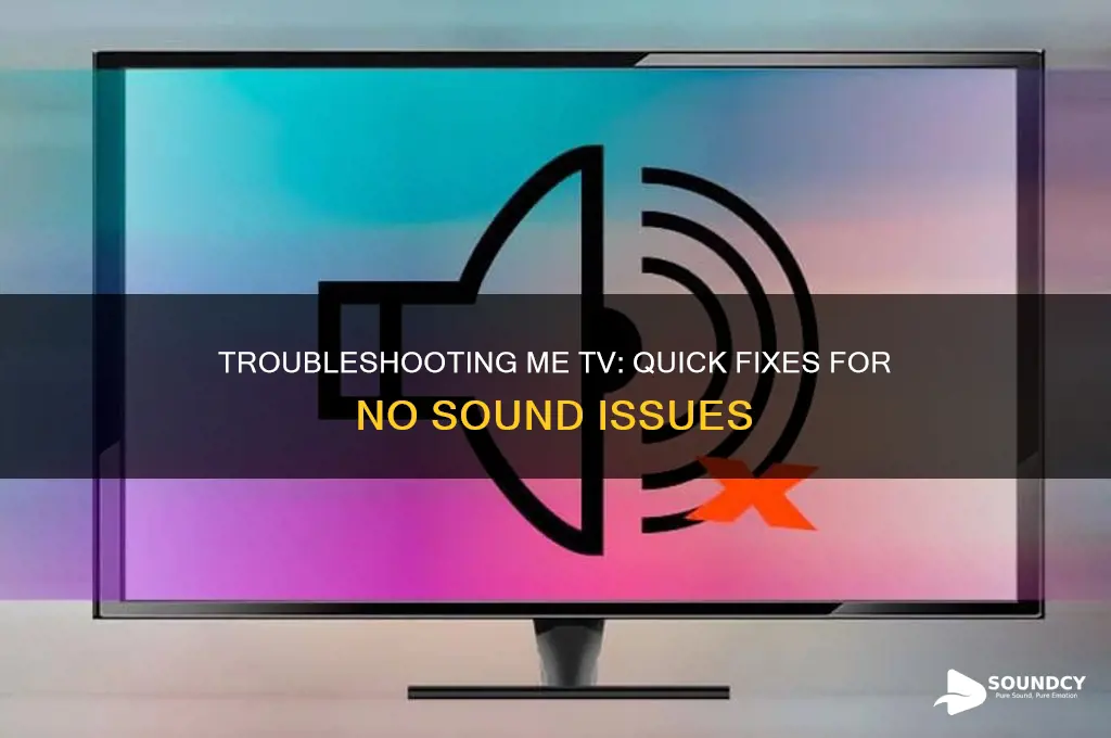 me tv has no sound