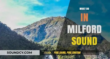Explore Milford Sound: Unforgettable Adventures and Must-Do Experiences