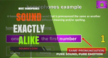 Do Homophones Always Sound Identical? Unraveling the Linguistic Mystery