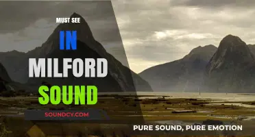 Milford Sound's Breathtaking Wonders: A Must-See Adventure Guide