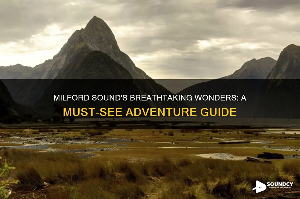 must see in milford sound