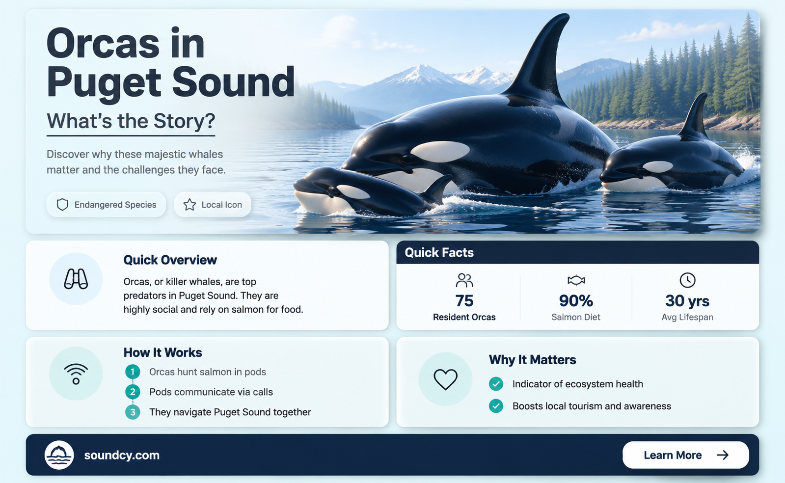 are there orcas in puget sound