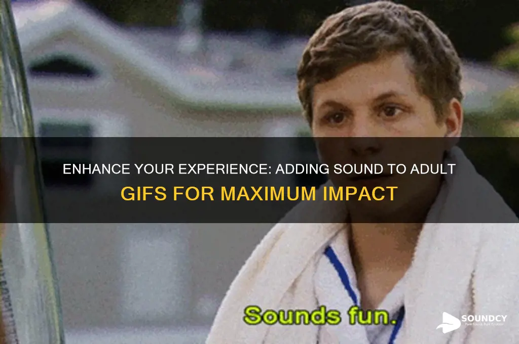 por n gifs with sound