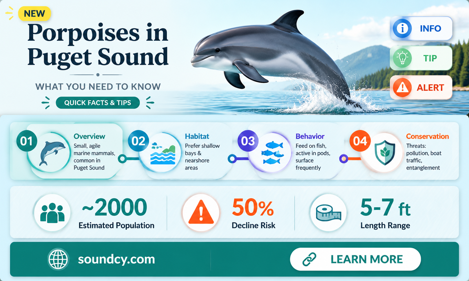 are there porpoises in puget sound