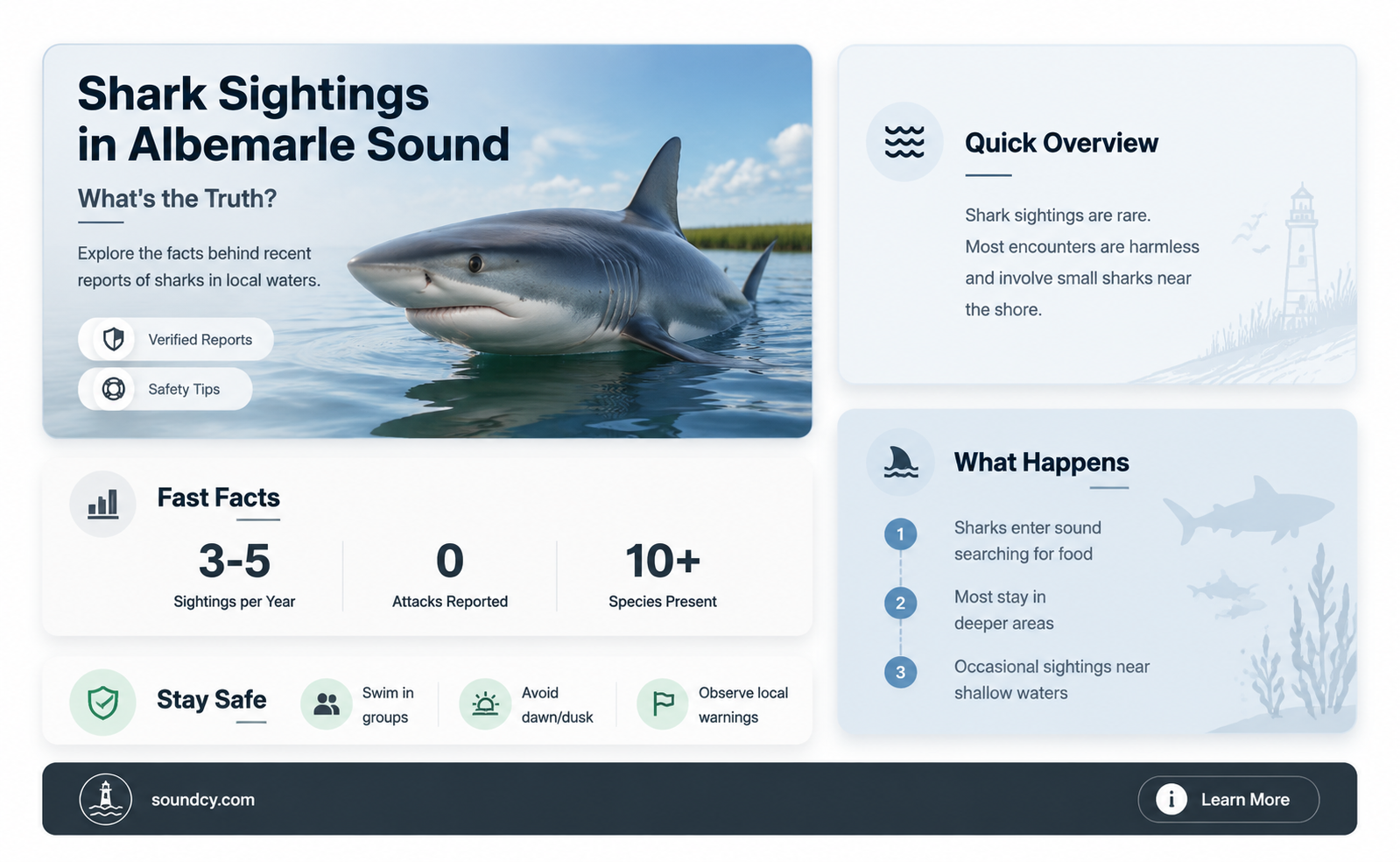 are there sharks in albemarle sound