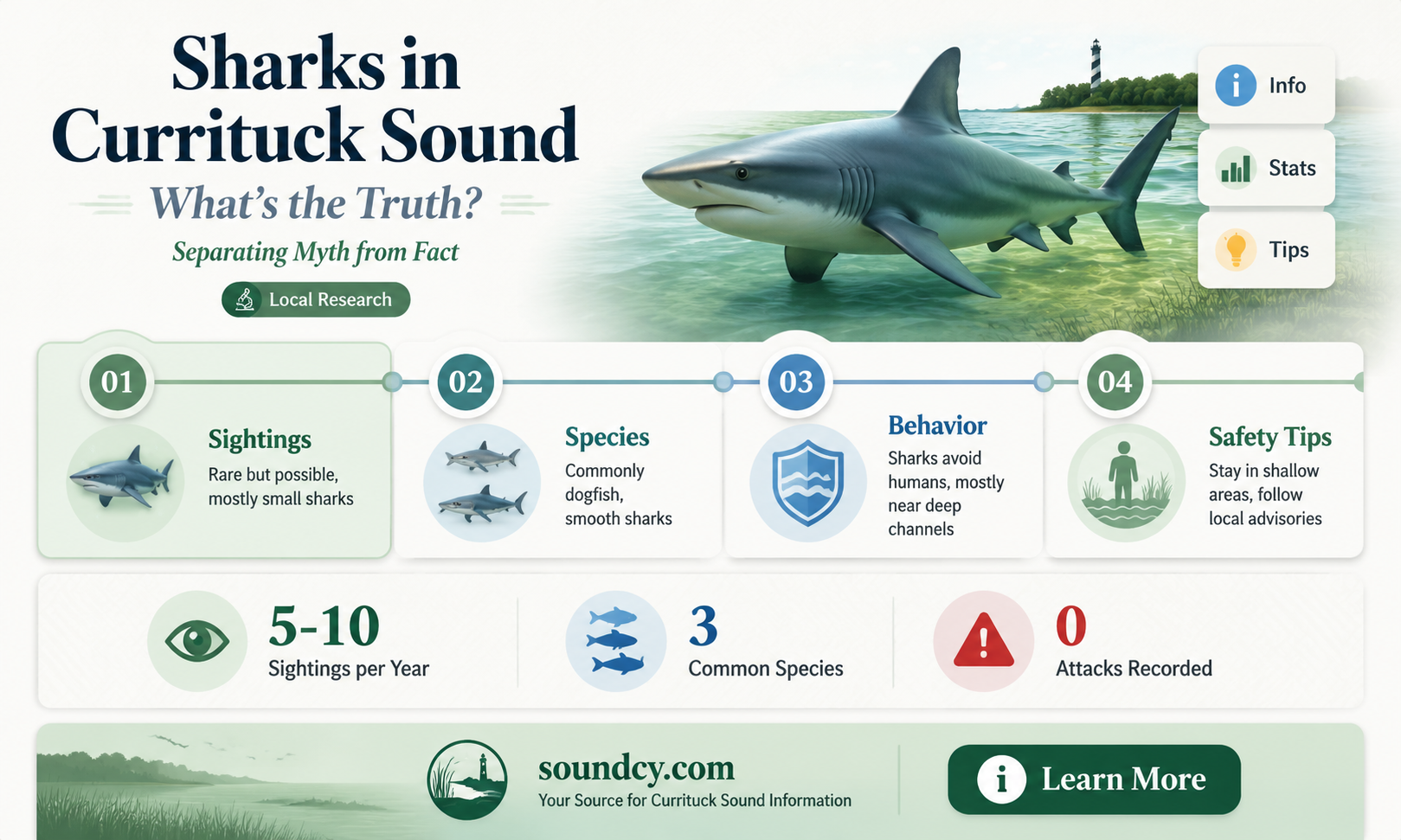 are there sharks in currituck sound