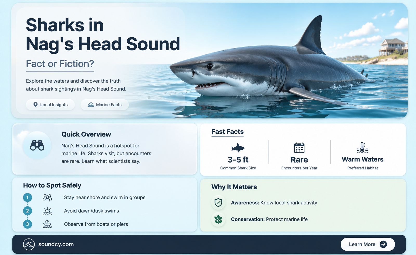 are there sharks in the nag