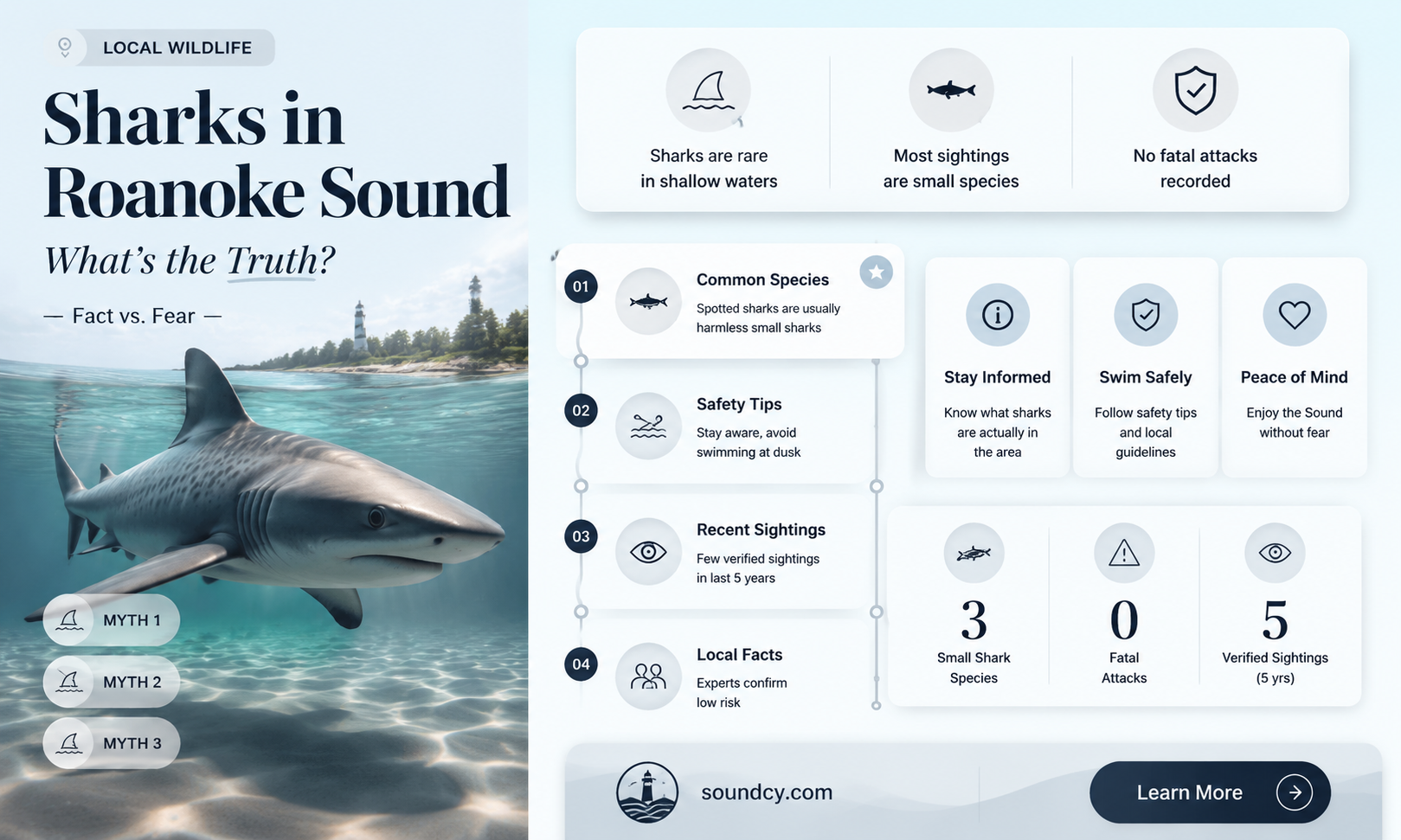are there sharks in roanoke sound