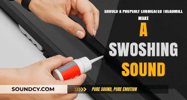 Does Your Treadmill's Swoshing Sound Indicate Proper Lubrication?