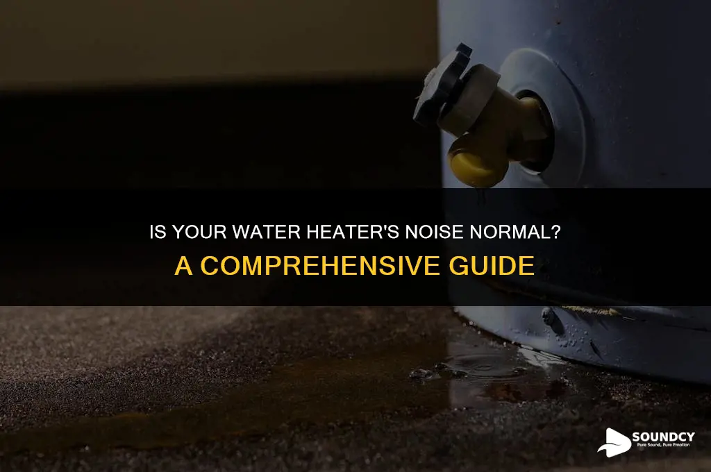 should a water heater sound like it