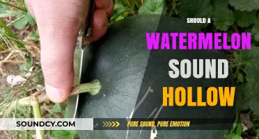 Does a Hollow Sound Mean a Perfect Watermelon? Find Out!