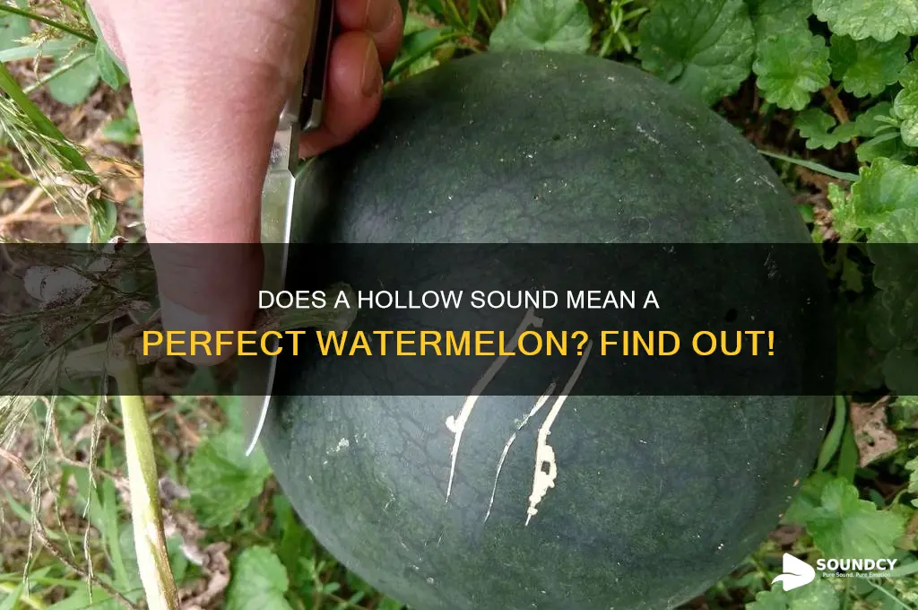 should a watermelon sound hollow