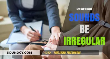 Are Irregular Bowel Sounds Normal? Understanding Digestive Health Signals