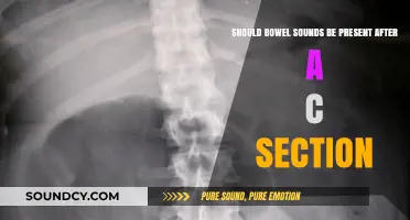 Post-C-Section Bowel Sounds: What's Normal and What's Not