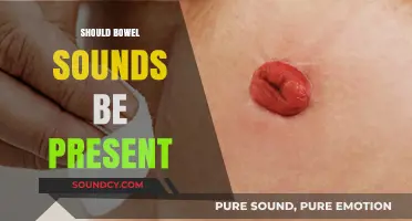 Should Bowel Sounds Be Present? Understanding Normal Intestinal Activity