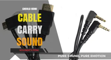 HDMI Cables and Audio: Do They Transmit Sound Efficiently?