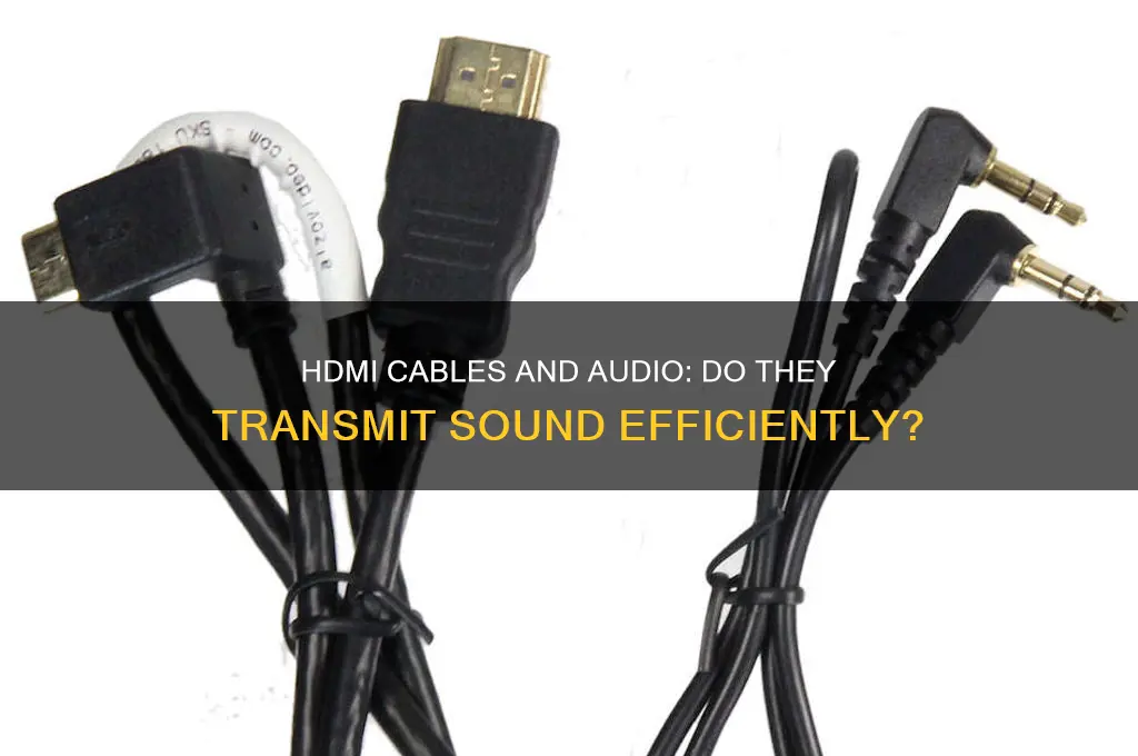 should hdmi cable carry sound
