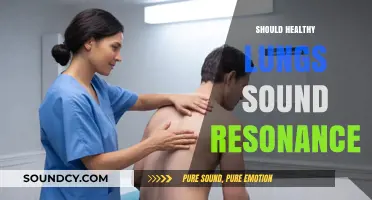 Healthy Lungs and Resonance: Understanding Normal Breathing Sounds