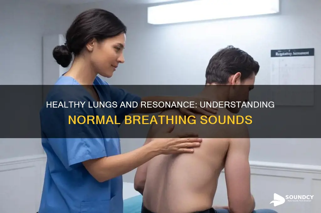 should healthy lungs sound resonance