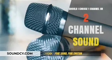 Mono vs. Stereo: Which Sound Channel Setup Is Right for You?