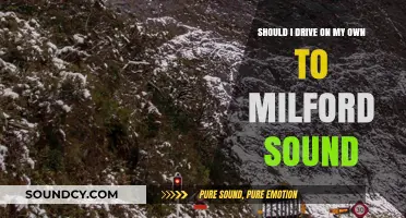 Solo Road Trip to Milford Sound: Pros, Cons, and Essential Tips