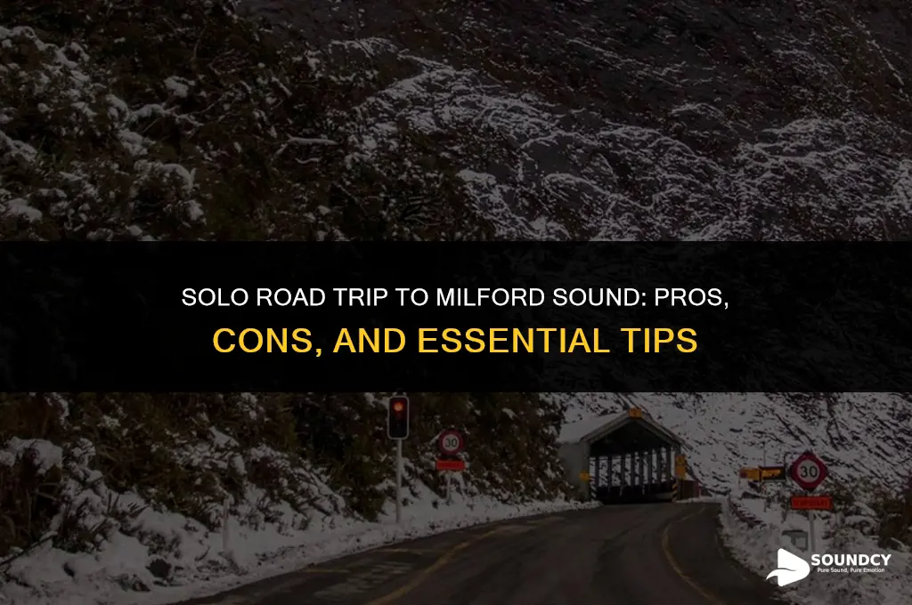 should i drive on my own to milford sound