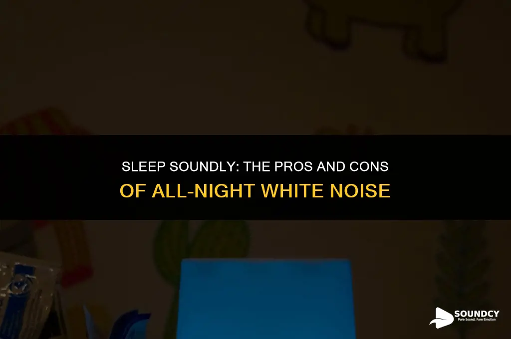 should i keep the sound machine on all night