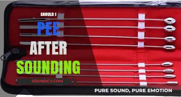 Peeing After Sounding: Essential Aftercare Tips for Safe Urethral Play