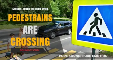 Should I Sound the Horn When Pedestrians Are Crossing?