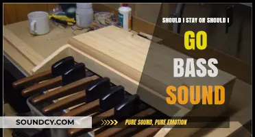 Bass Dilemma: To Stay or To Go - The Sonic Conundrum