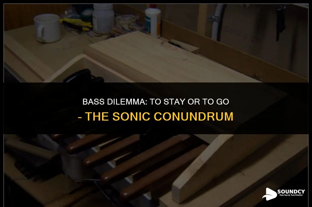 should i stay or should i go bass sound