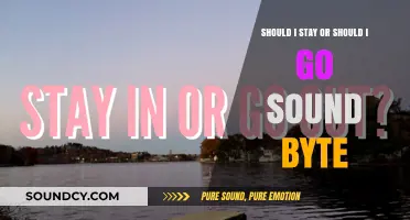 Decoding the Dilemma: Stay or Go Sound Byte Decision Guide