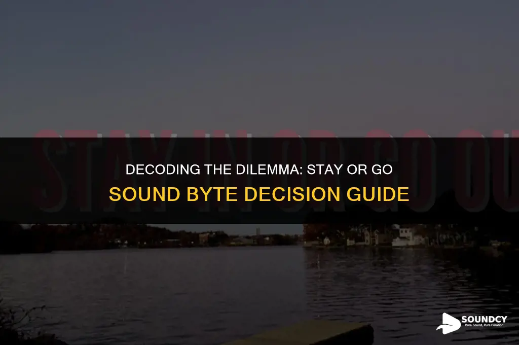 should i stay or should i go sound byte