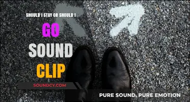 Should I Stay or Should I Go: The Sound Clip Dilemma